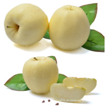 Chinesisch Golden Delicious Apple Frisch Apple